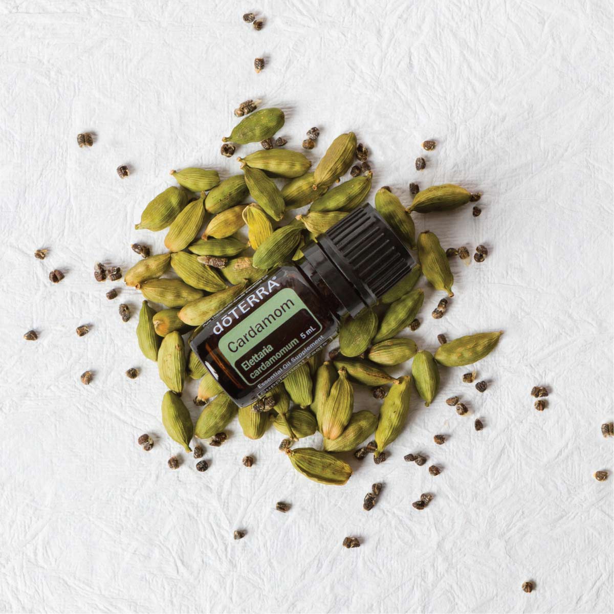 Bottle of doTERRA Cardamom essential oil and fresh cardamom seeds. What are the benefits of Cardamom essential oil? Cardamom oil is known for its benefits for the skin, digestive system, respiratory system, and for adding flavor when cooking.*