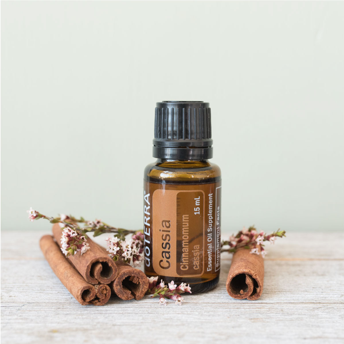 Cassia oil bottle next to fresh cassia spices. There are many benefits and uses for Cassia essential oil. Cassia oil can promote healthy digestion, help create a soothing massage, and offer immune support.*