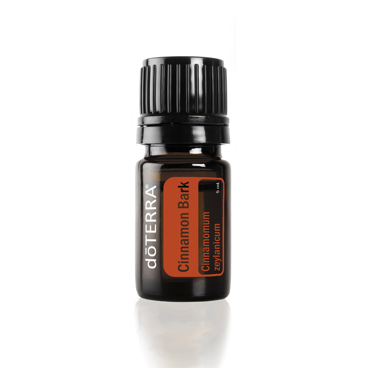 Bottle of doTERRA Cinnamon oil. What are the benefits of cinnamon oil? Cinnamon bark oil has several internal benefits for the body, plus, it has a distinct and powerful aroma.