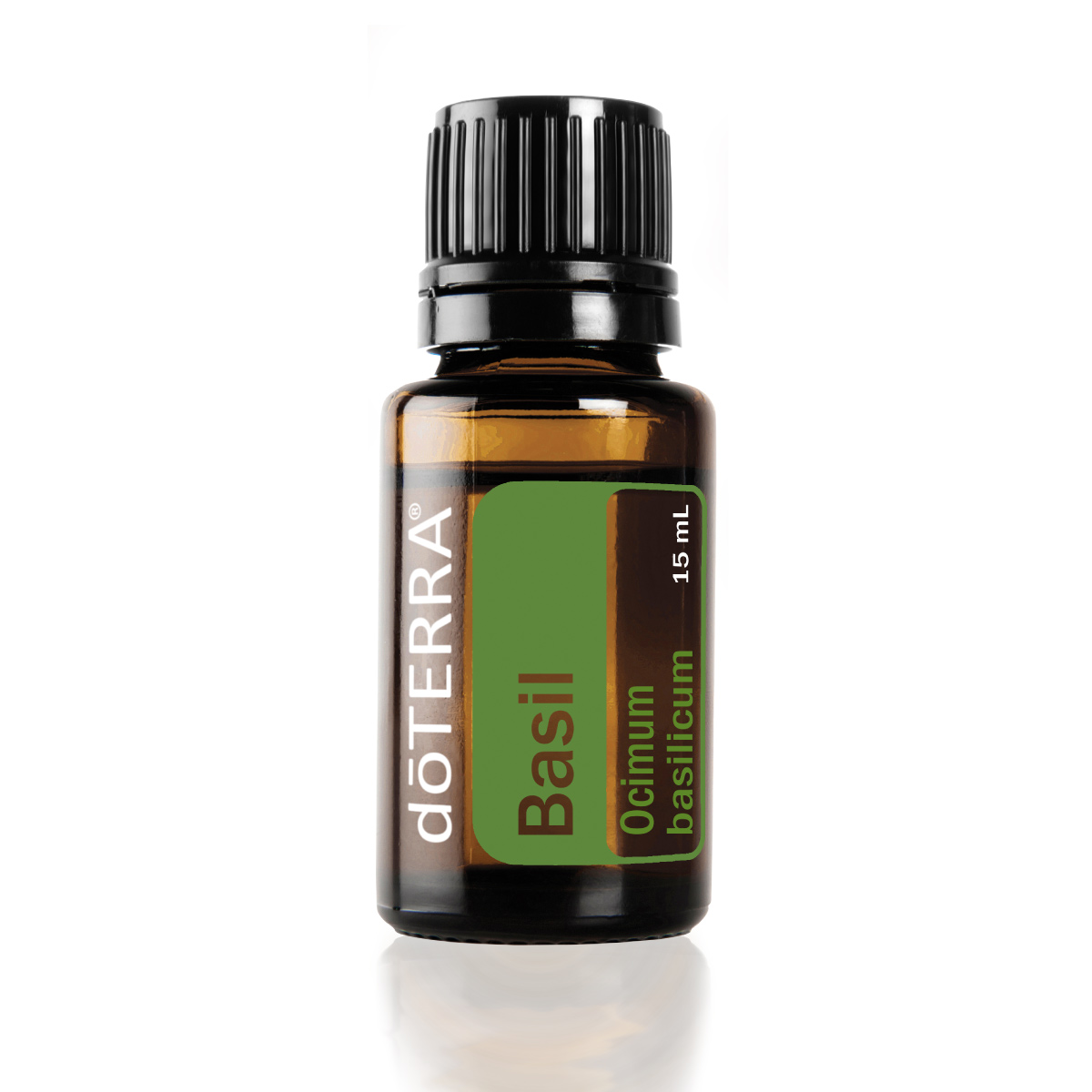 How is Basil oil made? doTERRA Basil oil is made by steam distilling the leaves of the basil plant.