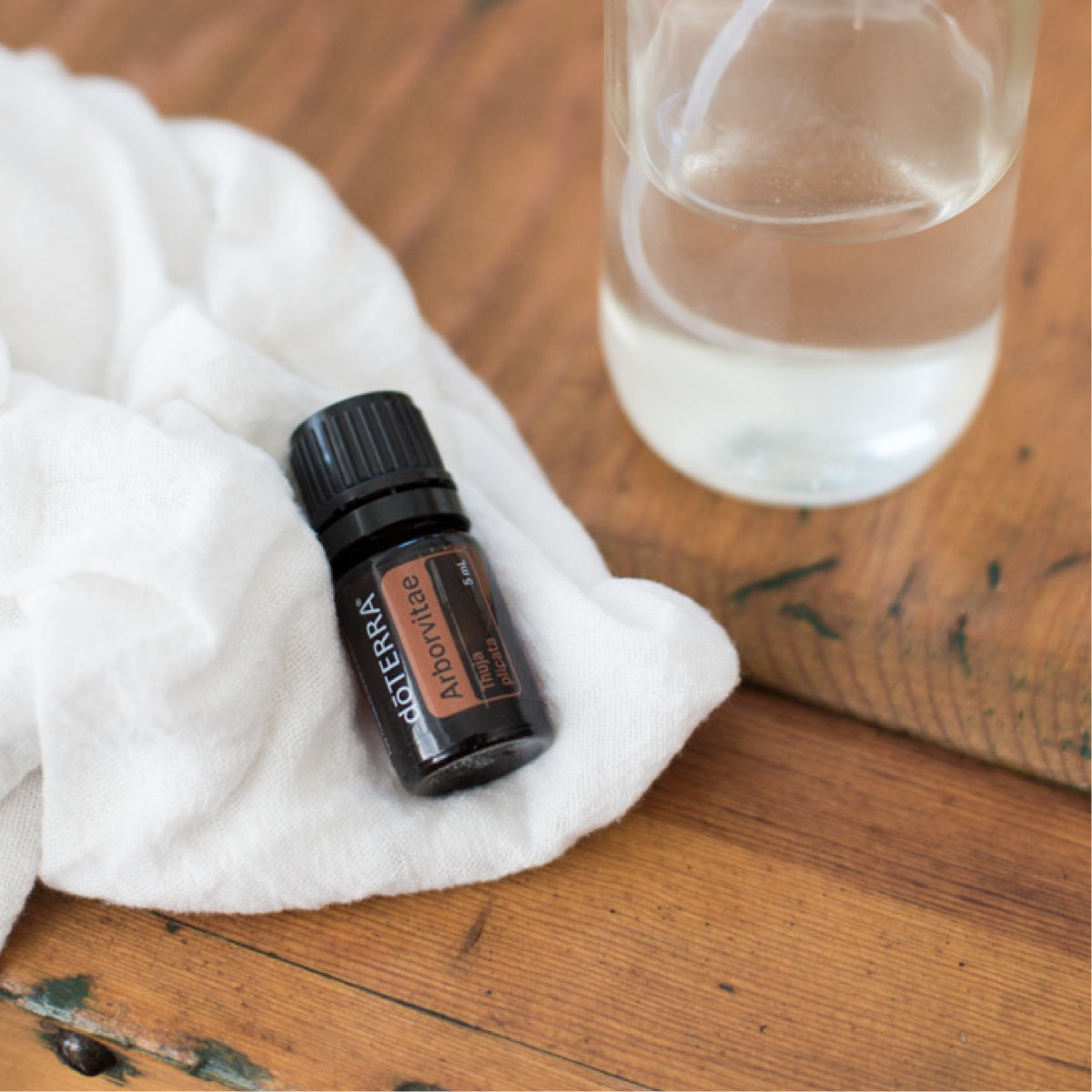 Arborvitae doterra deals