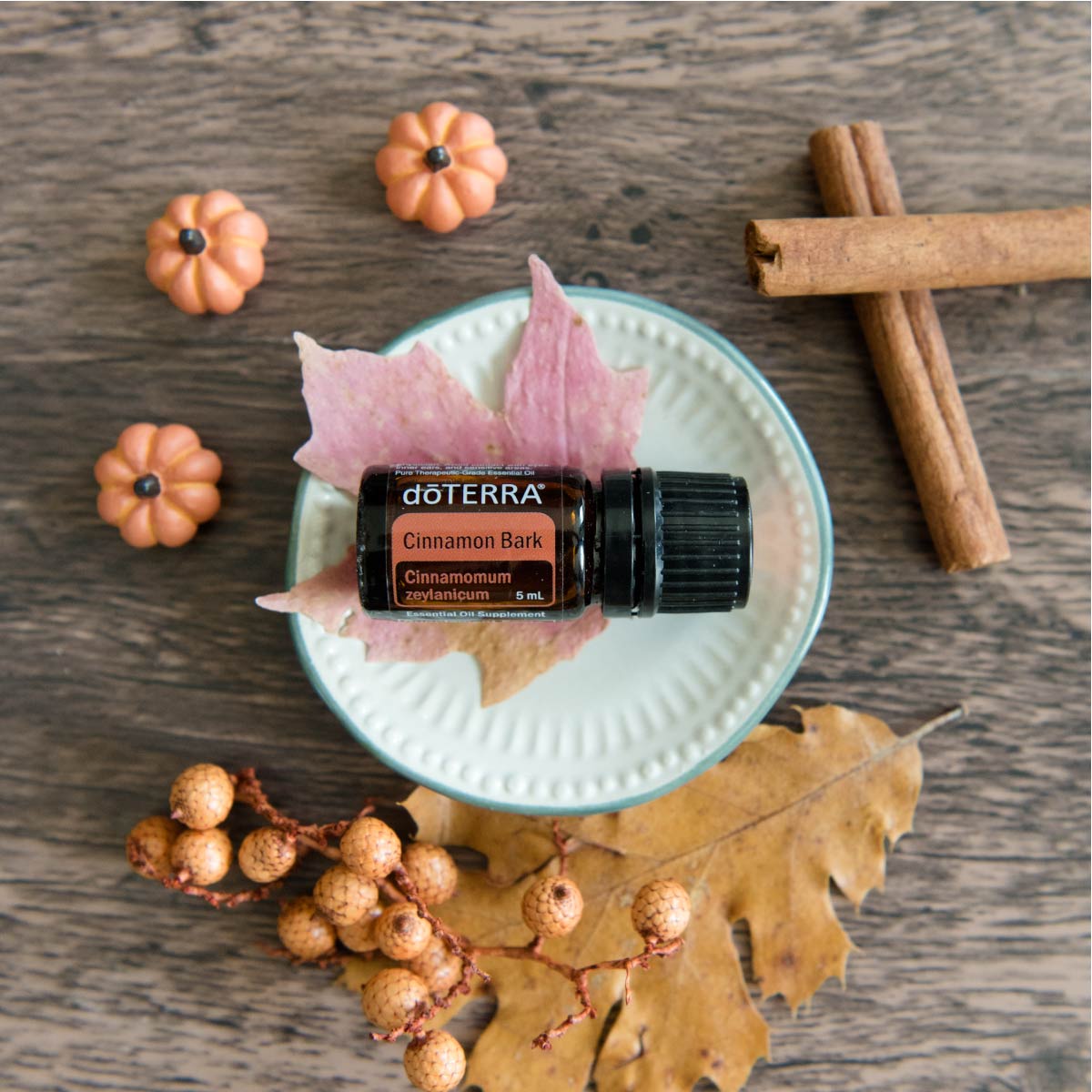 Bottle of Cinnamon essential oil next to fHow can I use Cinnamon essential oil? Cinnamon oil can be used to add flavor to food, for household cleaning, to create a soothing massage, and more.