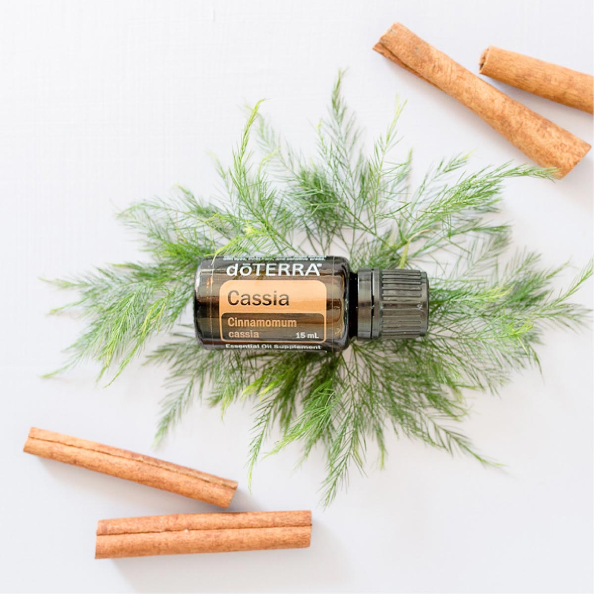 Bottle of doTERRA Cassia oil sitting on greens. What are the benefits of Cassia oil? Cassia essential oil has benefits for the digestive system, immune system, and mood, and can also be used to add flavor when cooking.