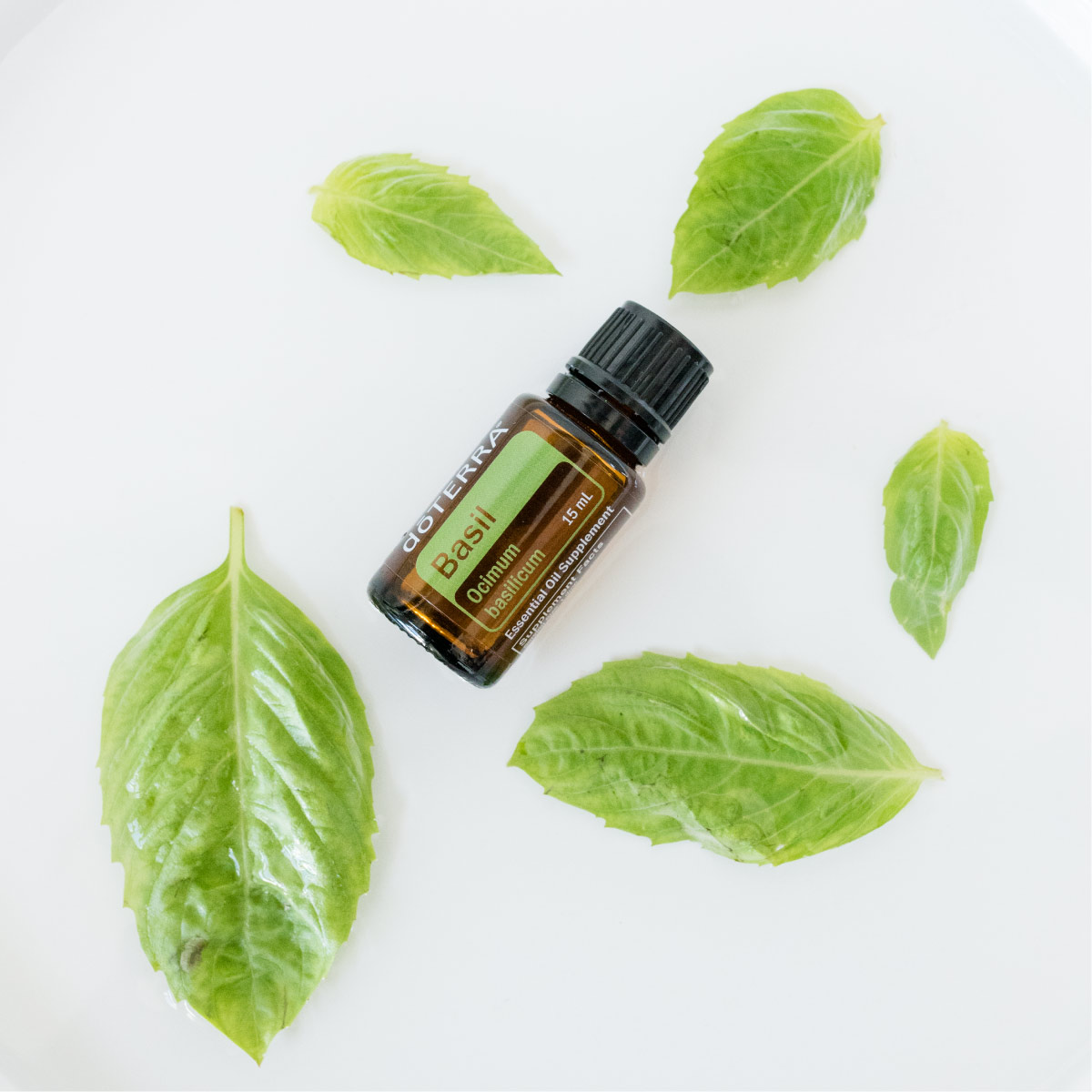 What blends well with Basil essential oil? Basil oil blends well with Lime oil, Bergamot oil, and Peppermint oil.