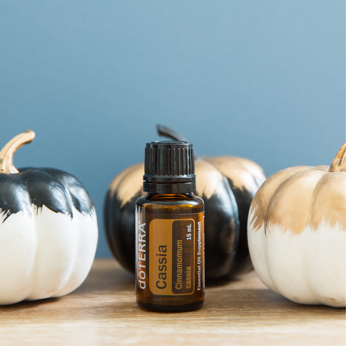 Bottle of Cassia oil next to festive painted pumpkins. What does Cassia oil smell like? Some people wonder if cassia and cinnamon are the same. While similar to cinnamon, Cassia essential oil has its own unique aroma that is warm, spicy, and potent.
