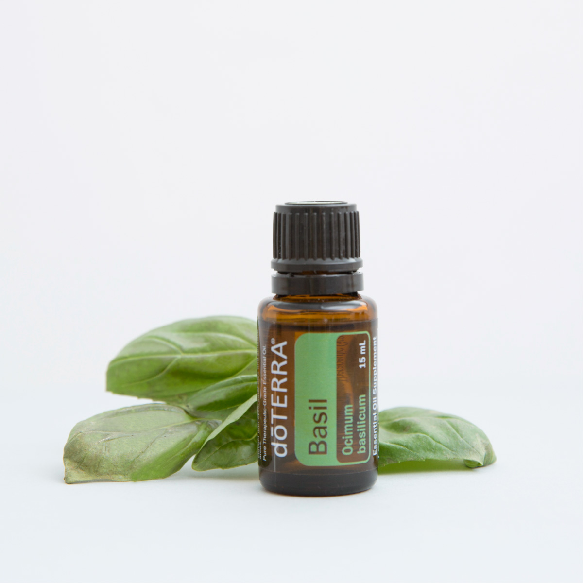 What is Basil essential oil used for? Many people use Basil oil for things like cooking, reducing anxious feelings, and promoting focus.