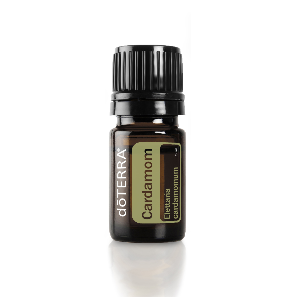 doTERRA Cardamom oil bottle. What is Cardamom oil used for? doTERRA Cardamom oil can be used for cooking, to aid in digestion, to cool the skin, or to promote feelings of easy breathing.