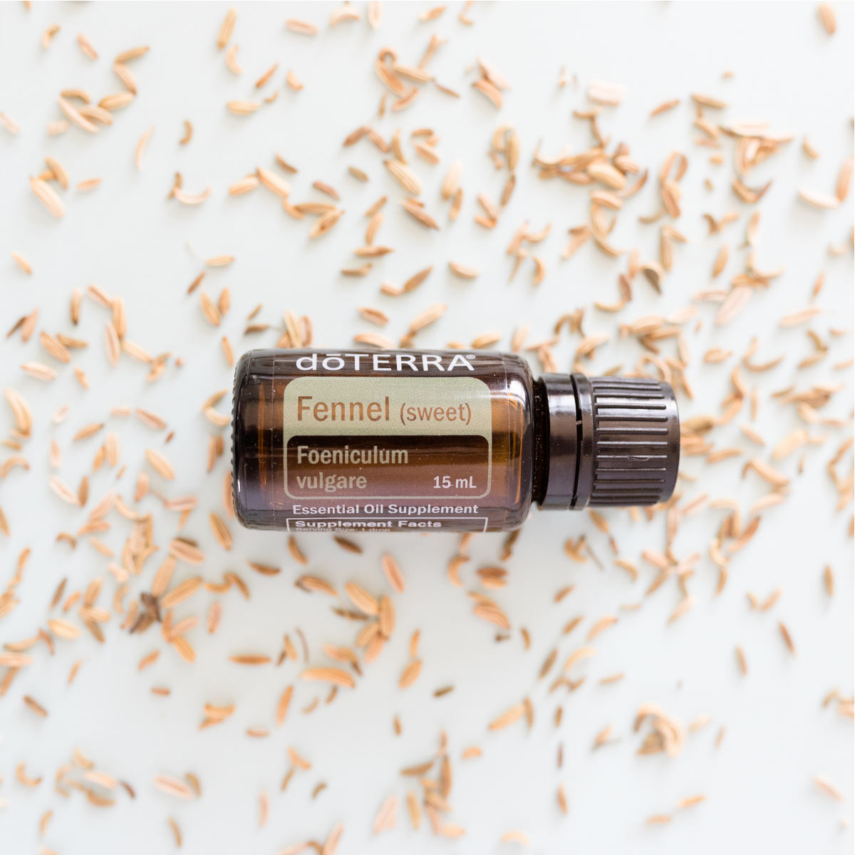 Bottle of doTERRA Fennel essential oil with fresh fennel seeds. What is Fennel essential oil used for? Many people use Fennel oil to promote healthy digestion, to add flavor to food, and to ease occasional stomach upset stomach or bloating.*