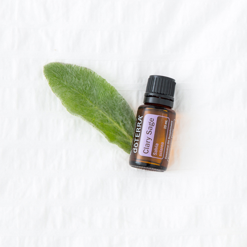 Clary sage oil bottle. Wondering how to use clary sage oil? Learn about the best ways to use clary sage oil for mood, skin, hair, menstrual discomfort, and more.