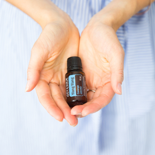 Woman’s hands, holding a bottle of doTERRA Ylang Ylang oil. Ylang Ylang essential is good for skin benefits, hair benefits, emotional benefits, and more.