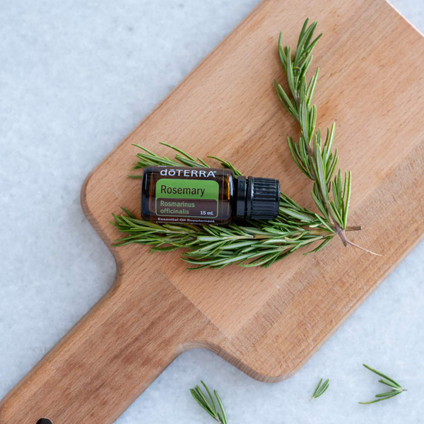 Rosemary oil bottle and green rosemary herbs on a wooden cutting board. What are the benefits and uses of rosemary essential oil? People use rosemary oil for hair, for cooking, for internal benefits, and more.