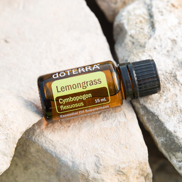 Bottle of lemongrass essential oil balanced on rocks. The benefits of lemongrass oil include benefits for digestion, mood, and massage.