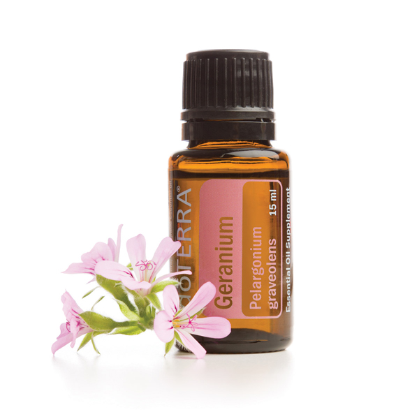 Bottle of doTERRA Geranium oil, small pink flowers. What are the best ways to use Geranium essential oil? Geranium oil is useful for skin, hair, aromatherapy, and internal benefits.