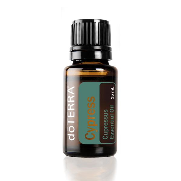 doTERRA Cypress essential oil bottle. How do you use cypress oil? Read this article to learn how to use cypress essential oil for skin, emotions, massage, exercise, and more.
