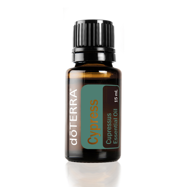 Botella de aceite esencial doTERRA Ciprés. ¿Cómo se usa el aceite de Ciprés? Lea este artículo para aprender a usar el aceite esencial de Ciprés para la piel, las emociones, los masajes, el ejercicio y más.