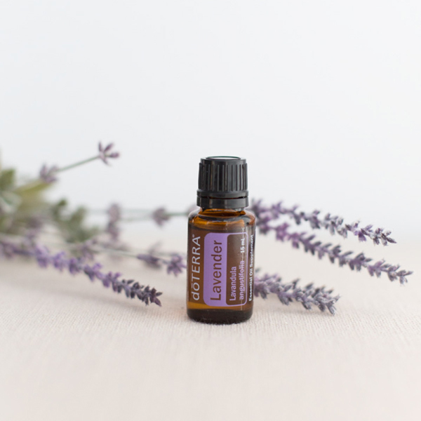 dōTERRA Lavender Essential Oil – The Essential Oil Shop