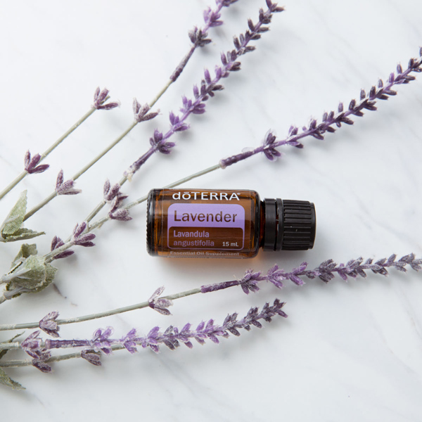 Bottle of doTERRA Lavender oil, lavender sprigs and flowers. Lavender essential oil has benefits for sleep, skin, mood, and more, making it one of the most popular essential oils on the market.