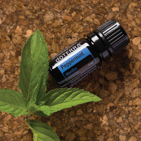 doterra peppermint tea