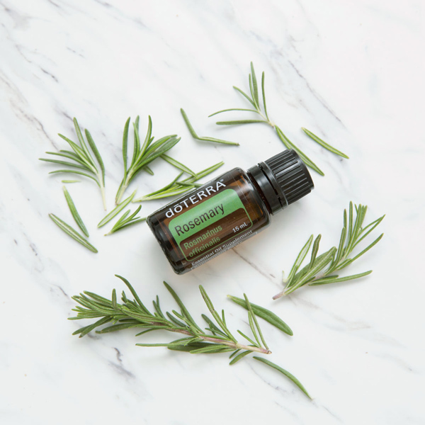 Rosemary Oil Uses And Benefits DoTERRA Essential Oils DoTERRA 