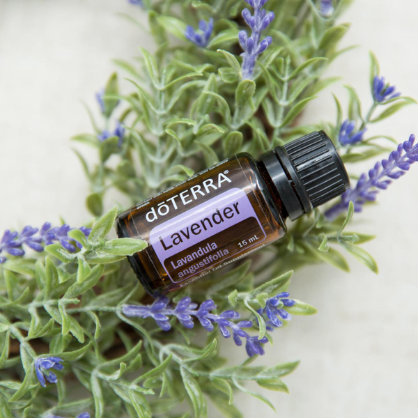 Bottle of lavender oil, green leaves, lavender flowers. What are the uses for lavender oil? Lavender oil can be used to reduce feelings of stress, promote a restful sleep, reduce the appearance of skin imperfections, and more.