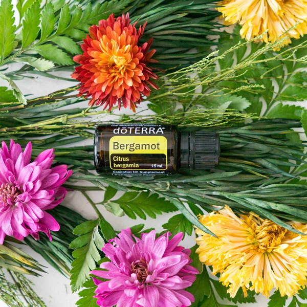 Bergamot essential oil bottle, green leaves, and colorful flowers. doTERRA Bergamot oil can be used for the skin, to lower stress levels, and for sleep. 