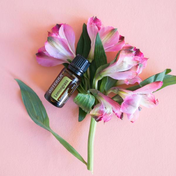 Pink flowers, green stem and leaves, bottle of doTERRA lemongrass oil. What is lemongrass essential oil used for? Lemongrass oil is used to promote healthy digestion, soothe anxious feelings, and create a comforting massage.