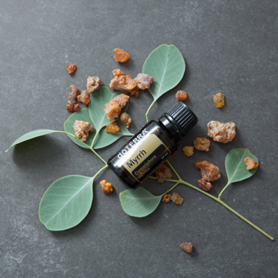 Bottle of doTERRA Myrrh oil with myrrh resin and green leaves. What are the benefits of Myrrh essential oil? Myrrh oil has many benefits when used aromatically, topically, and internally.