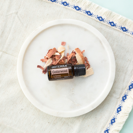 Cedarwood oil bottle on a plate. Cedarwood essential oil has a variety of benefits and can be used to promote relaxation, soothe the skin, calm the mind, and naturally repel bugs.