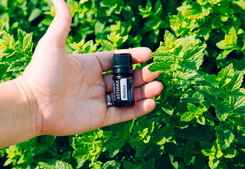 A person holding doTERRA melissa essential oil