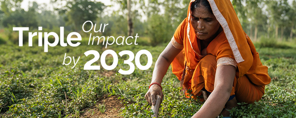 annual-impact-report/2021