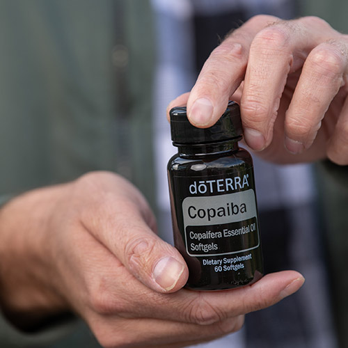 Copaiba Softgels