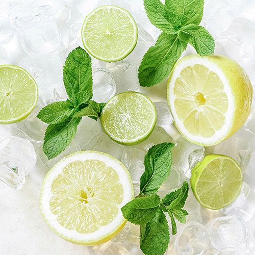 Halved lemons and lime laid with mint leaves across ice cubes.