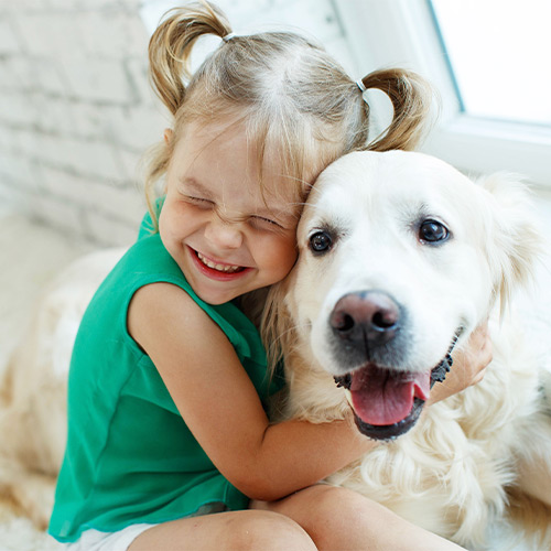 Little girl holding a dog