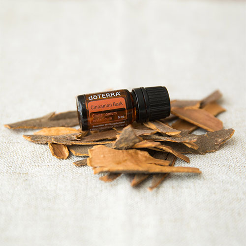 A bottle of Cinnamon Essential Oil sitting on a pile of cinnamon.