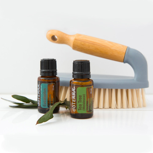 doTERRA Eucalyptus Essential Oil and Tea Tree Essential Oil next to a dry brush with a wooden handle on a white background.