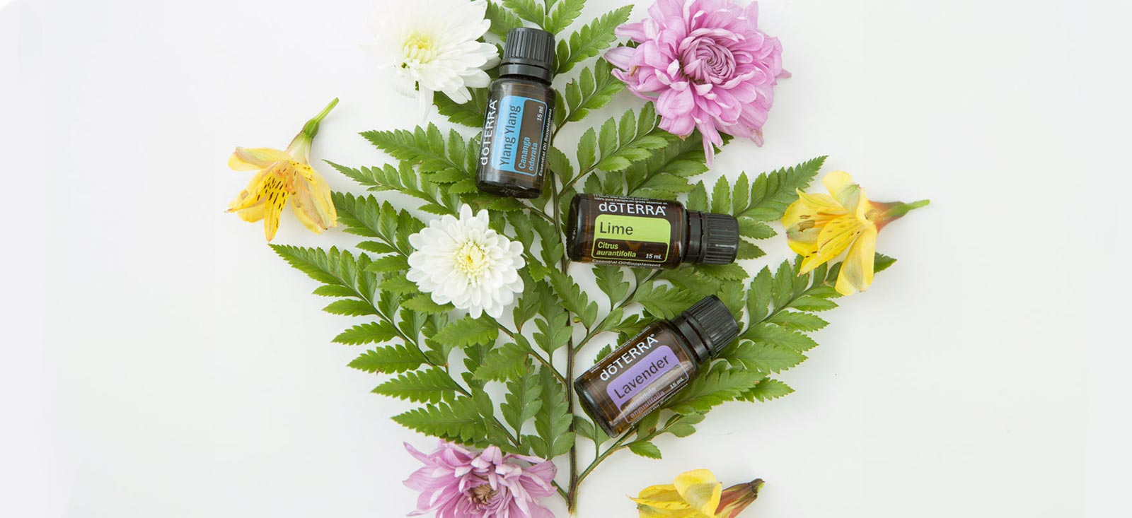 doTERRA Essential Oils, Ylang Ylang, Lime and Lavender, arranged with assorted colorful flowers and green leaves on a white background.