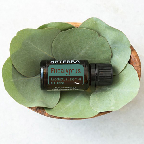 Eucalyptus Essential Oil over eucalyptus leaves