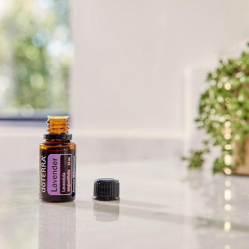 doTERRA Tea Tree essential oil sits on a wooden table in front of a plant.