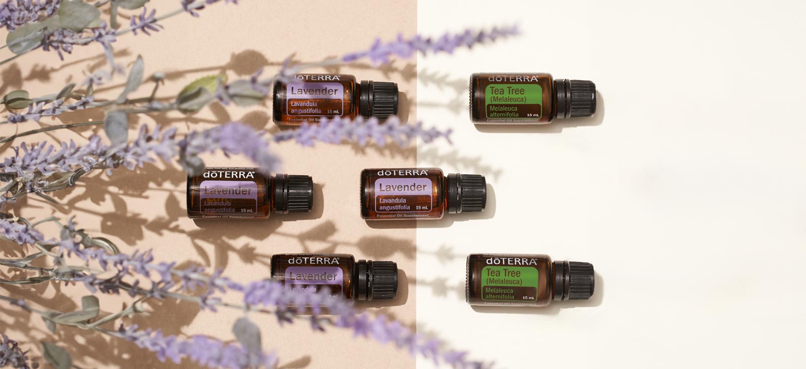 doTERRA Essential oils on a white background with lavender plants.