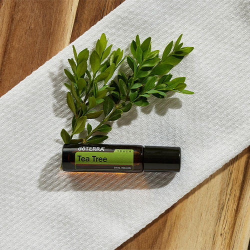A bottle of doTERRA Tea Tree Touch essential oil with a leaf on a towel.