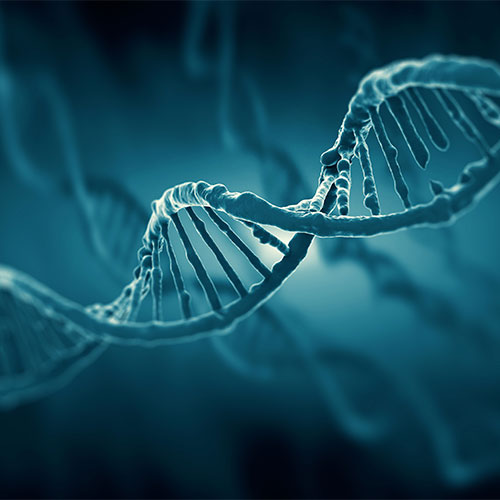A close-up image of a dna double helix structure against a blue background.