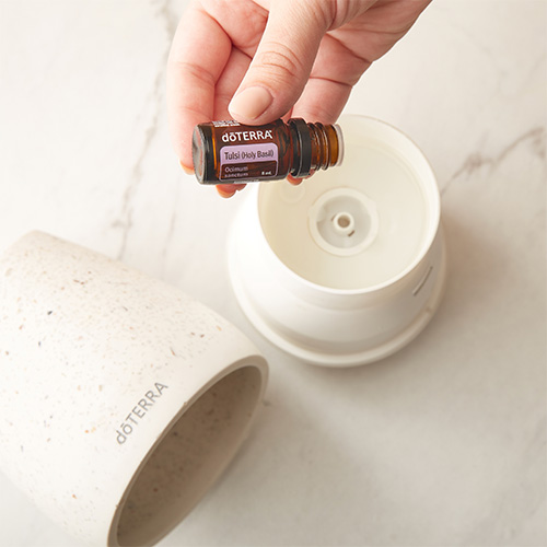 A person holding a doTERRA Tulsi Holy Basil essential oil next to Roam Diffuser.
