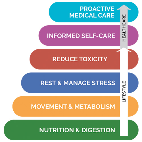 Wellness Pyramid