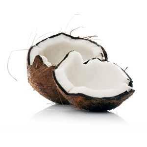 Fractionated Coconut Oil Botanical