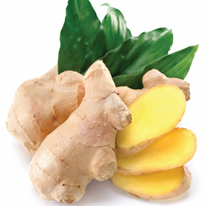 Ginger Botanical