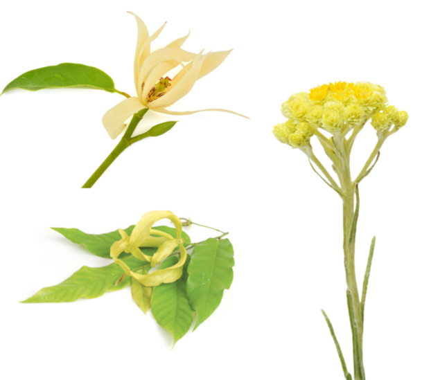 Face and Body Sunscreen