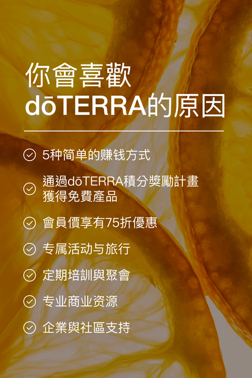 您將喜愛的一切