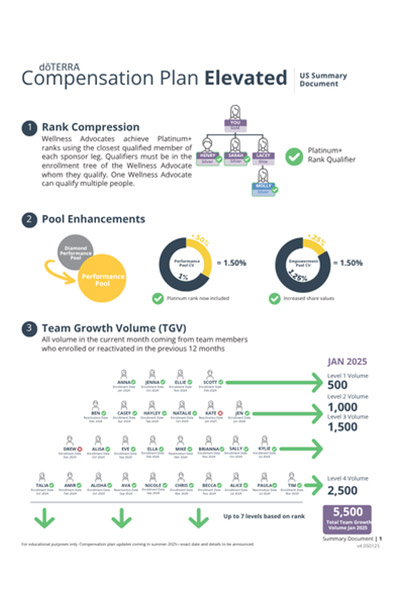 Elevated Compensation Plan Summary