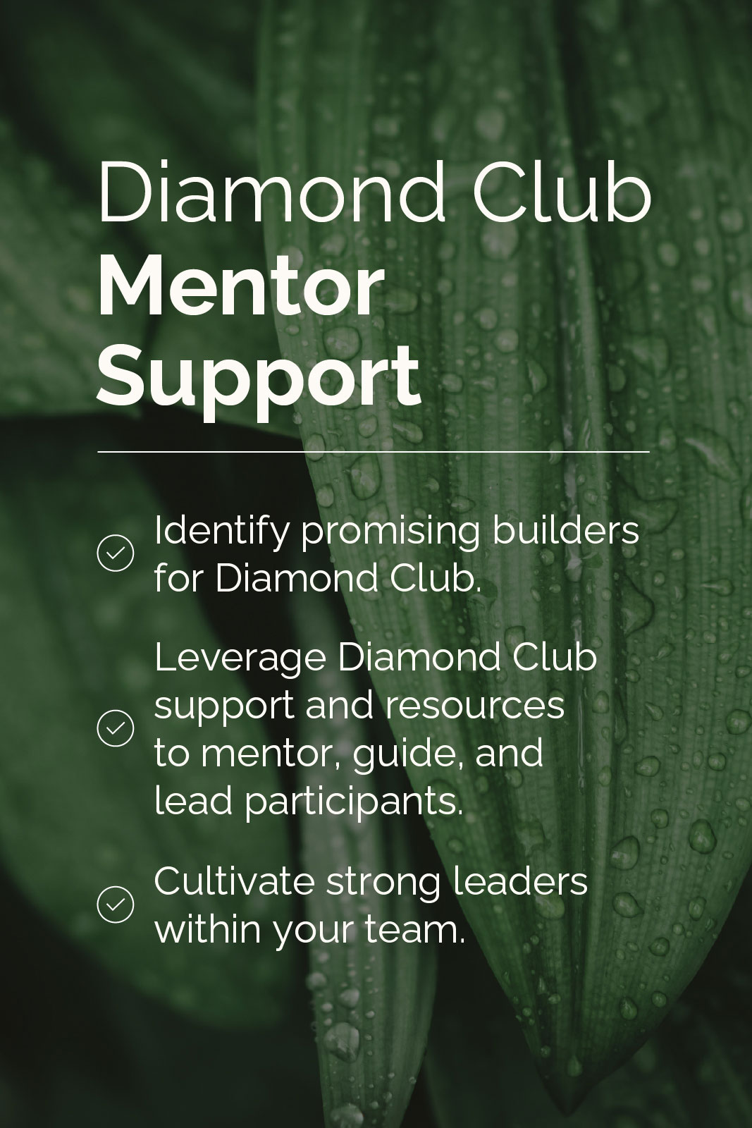Diamond Club Mentor Support: Identify promising builders for Diamond Club. Leverage Diamond Club support and resources to mentor, guide, and lead participants. Cultivate strong leaders within your team.