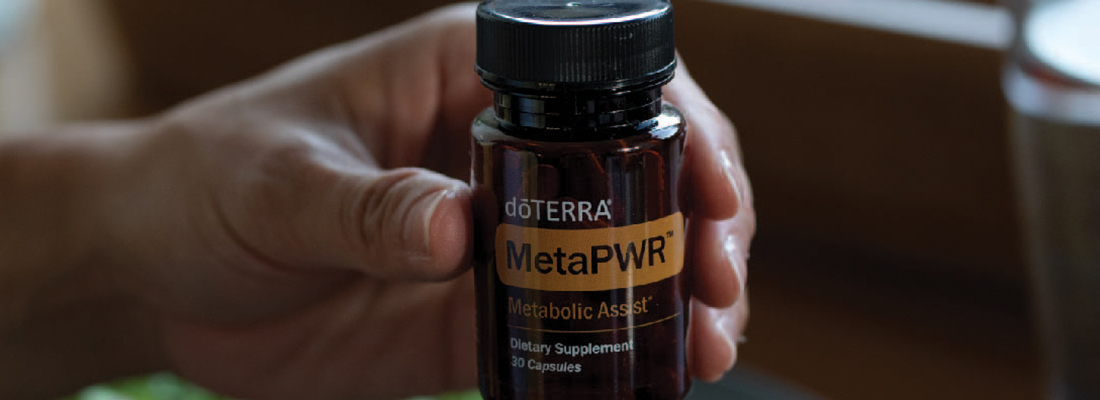 MetaPWR Assist product image